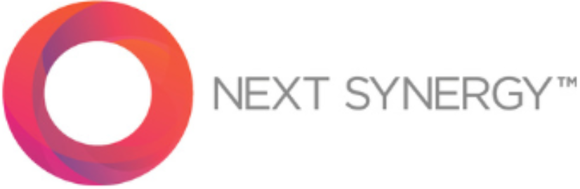 next synergy's website logo, we provided them it services